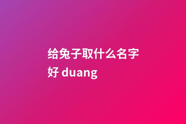 给兔子取什么名字好 duang